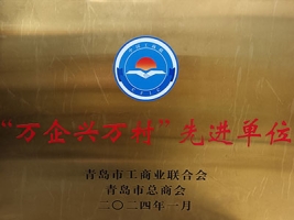 万企兴万村先进单位